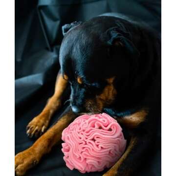 Glory To Dog Medium Breed Snuffle Interactive Foraging Dog Puzzle Ball Toy Pink Large