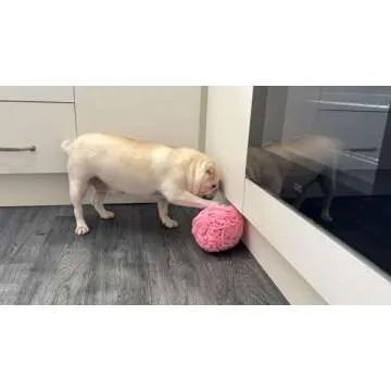 Glory To Dog Medium Breed Snuffle Interactive Foraging Dog Puzzle Ball Toy Pink Large