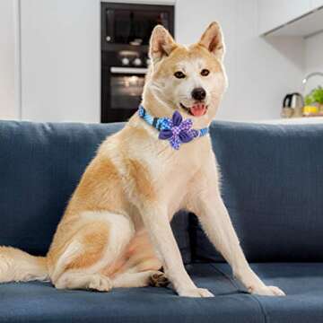 Dog Collar for Medium Large Dogs- Size 12.9" to 21.6"- 2 Pack Adjustable Pet Collars with Detachable Cute Flower Decorations Unique Gradient Pattern