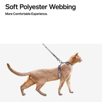 pidan Cat Harness & Leash Set, Cats Escape Proof Adjustable Kitten Harness for Large Small Cats, Lightweight Soft Walking Travel Petsafe Harness Grey,Neck Girth 7.8'' 12.2'', Chest Girth 10.2'' 16.9''
