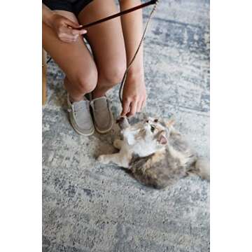 OurPets Play-N-Squeak Teathered & Feathered Play Wand Cat Toy, for All Breed Sizes