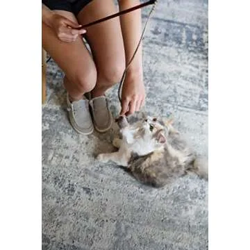 OurPets Play-N-Squeak Teathered & Feathered Play Wand Cat Toy, for All Breed Sizes