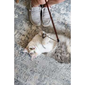 OurPets Play-N-Squeak Teathered & Feathered Play Wand Cat Toy, for All Breed Sizes