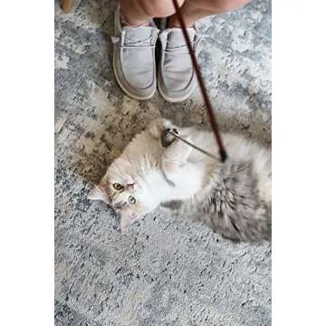 OurPets Play-N-Squeak Teathered & Feathered Play Wand Cat Toy, for All Breed Sizes