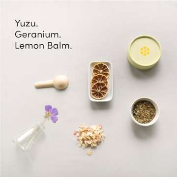 Dirty Labs | Dishwasher Detergent and Booster | Aestival Scent | 48 Loads (1 lb) | Ultra Clean, Spot Free, Quick Wash Optimized | Hyper Concentrated