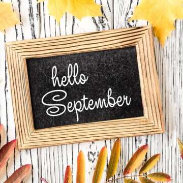 ALLGREEN Gaming Chair Wheels & Office Chair Caster Wheels 5 pcs Replacement Set Casters Heavy Duty Easy Installation and Universal Fit Smooth Rollerblade Swivel Glider-Safe for All Floors (Pink)