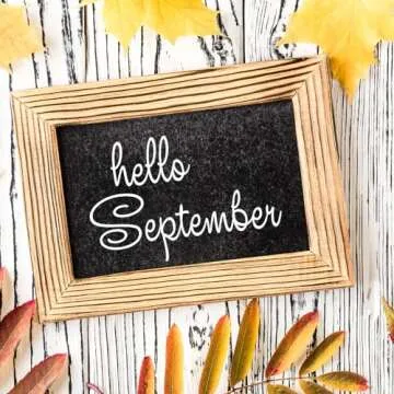 ALLGREEN Gaming Chair Wheels & Office Chair Caster Wheels 5 pcs Replacement Set Casters Heavy Duty Easy Installation and Universal Fit Smooth Rollerblade Swivel Glider-Safe for All Floors (Pink)