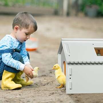 Upgraded Chick Brooder with Viewing Window