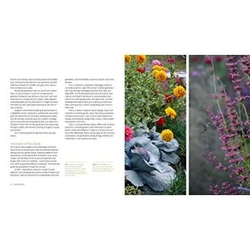 Hellstrip Gardening: Create a Paradise between the Sidewalk and the Curb