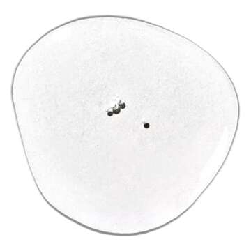 MVRCK Beard Oil for Men - Softens & Refreshes All Beards