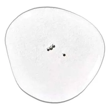 MVRCK Beard Oil for Men - Softens & Refreshes All Beards