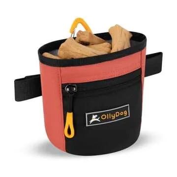 OllyDog Goodie Treat Bag for Eco-Friendly Dog Training