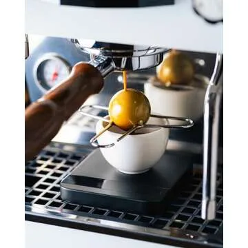 Coffee Alive Extract Chilling Espresso Ice Ball, gift for coffee enthusiasts. Espresso Chiller. Lock in more flavour with frozen stainless steel ball espresso.