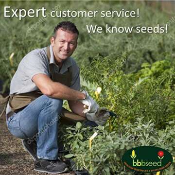 Drought Tolerant Wildflower Seeds for Beautiful Gardens