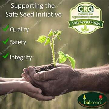 Drought Tolerant Wildflower Seeds for Beautiful Gardens