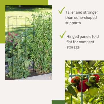 Gardener’s Supply Company Extra Tall Heavy-Guage Square Tomato Cages | Easy Fold Plant Supports & Vegetable Garden Stakes | 14.25" x 14.25" x 65" - Green (Set of 2)