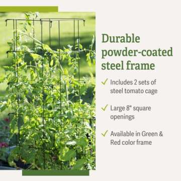Gardener’s Supply Company Extra Tall Heavy-Guage Square Tomato Cages | Easy Fold Plant Supports & Vegetable Garden Stakes | 14.25" x 14.25" x 65" - Green (Set of 2)