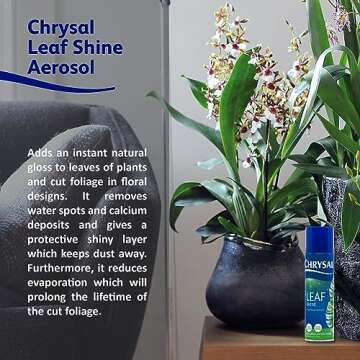 Chrysal LeafShine Spray for Indoor Plants - Non-Oily Dust Spray