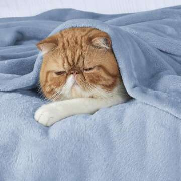 Bedsure Fleece King Size Blankets for Bed Light Blue - Soft Lightweight Plush Cozy Fuzzy Luxury Microfiber, 108x90 inches