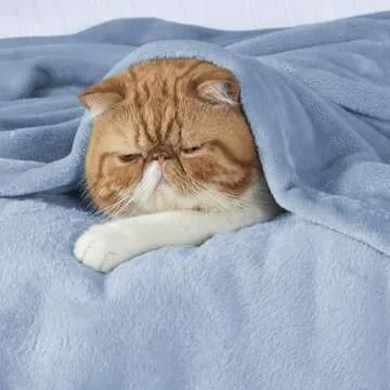 Bedsure Fleece King Size Blankets for Bed Light Blue - Soft Lightweight Plush Cozy Fuzzy Luxury Microfiber, 108x90 inches