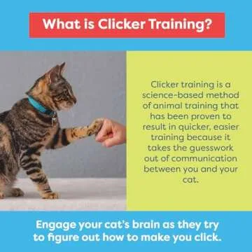 CAT SCHOOL Clicker Training Kit - 1 Cat Training Clicker, 1 Target Stick, 1 Step-by-Step Instruction Booklet - Clicker Tools for Cat Training, Fist Bump Training, Positive Behavior
