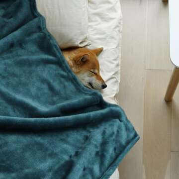 Onarway Dog Blanket Washable for Puppy: 4 Packs Dog Blankets 40”x28” - Fluffy Soft Small Throw f...