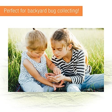 Zilla Micro Habitat Terrarium Enclosure for Small Pets