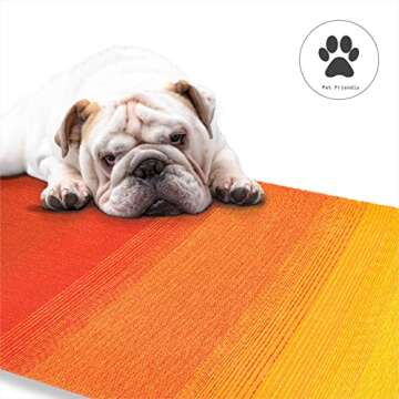 Fab Habitat Outdoor Rug - Waterproof, Fade Resistant, Crease-Free - Premium Recycled Plastic - Ombre Stripe- Porch, Deck, Balcony, Mudroom, Laundry Room, Patio - Big Sur - Sunset - 3 x 5 ft