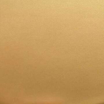 Modern Masters ME200 Pale Gold Metallic Paint - 6 oz