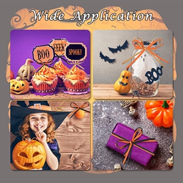 Whaline 984Ft Halloween Raffia Ribbon for Crafting