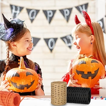 Whaline 984Ft Halloween Raffia Ribbon for Crafting