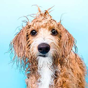 Ethique Pawfector Softening Solid Dog Conditioner for Dogs - Sulfate-Free, Plastic-Free, Vegan, Cruelty-Free, Eco-Friendly, 2.12 oz (Pack of 1)