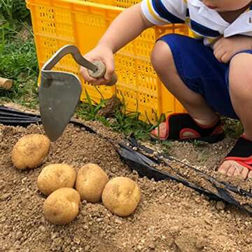 JOVELY Premium Forged Gardening Hand Plow Hoe, Korean Daejanggan Style Ho-Mi(Weeding Sickle) for EZ Digger Tools 1 Pack