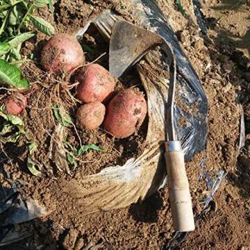 JOVELY Premium Forged Gardening Hand Plow Hoe, Korean Daejanggan Style Ho-Mi(Weeding Sickle) for EZ Digger Tools 1 Pack