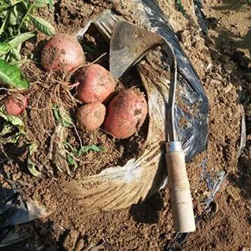 JOVELY Premium Forged Gardening Hand Plow Hoe, Korean Daejanggan Style Ho-Mi(Weeding Sickle) for EZ Digger Tools 1 Pack