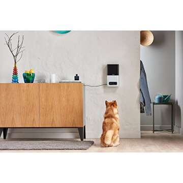 Petcube Bites Pet Camera with Treat Dispenser, HD 1080p