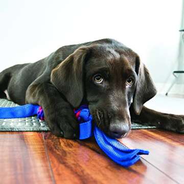 Kong Tugga Wubba - Ballistic Nylon Tough Toy for Tugging and Fetch - Small
