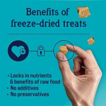 Stewart Single Ingredient Freeze Dried Raw Dog Treats, Wild Salmon, 9.5 Ounce Resealable Tub, Training Treats or Meal Topper Dogs, High Protein, Grain-Free, Gluten-Free