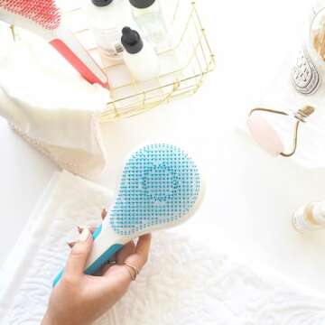 Michel Mercier Detangler for Thick & Curly Hair