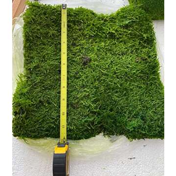 Prefleur Preserved Sheet Moss Natural Green Decorative Real Natural Green DIY Kit Gardenning Art Wal...