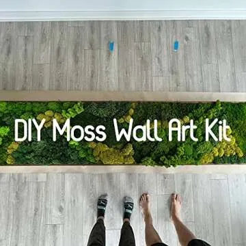 Prefleur Preserved Sheet Moss Natural Green Decorative Real Natural Green DIY Kit Gardenning Art Wall Decor Florist Decor Easter Table Decor Wedding(2 sq.ft.) (Green-B)