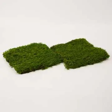 Prefleur Preserved Sheet Moss Natural Green Decorative Real Natural Green DIY Kit Gardenning Art Wall Decor Florist Decor Easter Table Decor Wedding(2 sq.ft.) (Green-B)