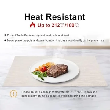 Vinyl Placemats Set of 6 - Washable Heat Resistant Design