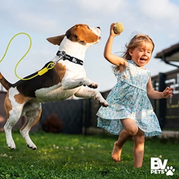 BV Heavy Duty Dog Tie Out Cable 25 Feet - Safe & Durable