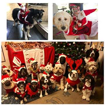 Kyerivs Santa Dog Costume for Holiday Parties and Festivities