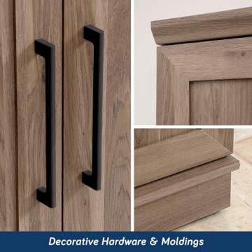 Sauder HomePlus Storage Cabinet for Any Home Solution