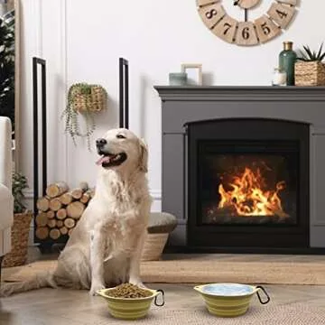 Collapsible Dog Water Bowls - Durable and Portable