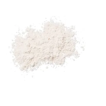 Colorescience SPF 30 Sunscreen Brush - Perfect for Oily Skin