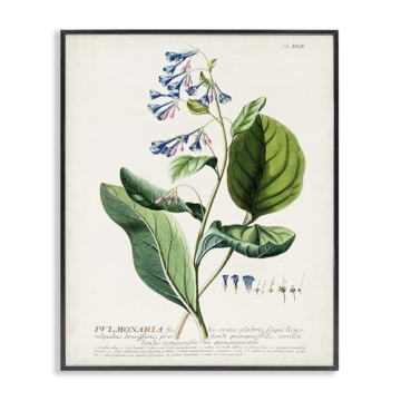 Stupell Industries Botanical Plant Illustration Blue Flowers Vintage Design Black Framed Wall Art, M...
