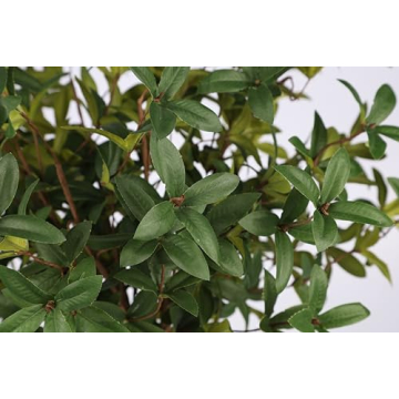 Miracliy 6pcs Lifelike Artificial Eucalyptus Greenery Stems